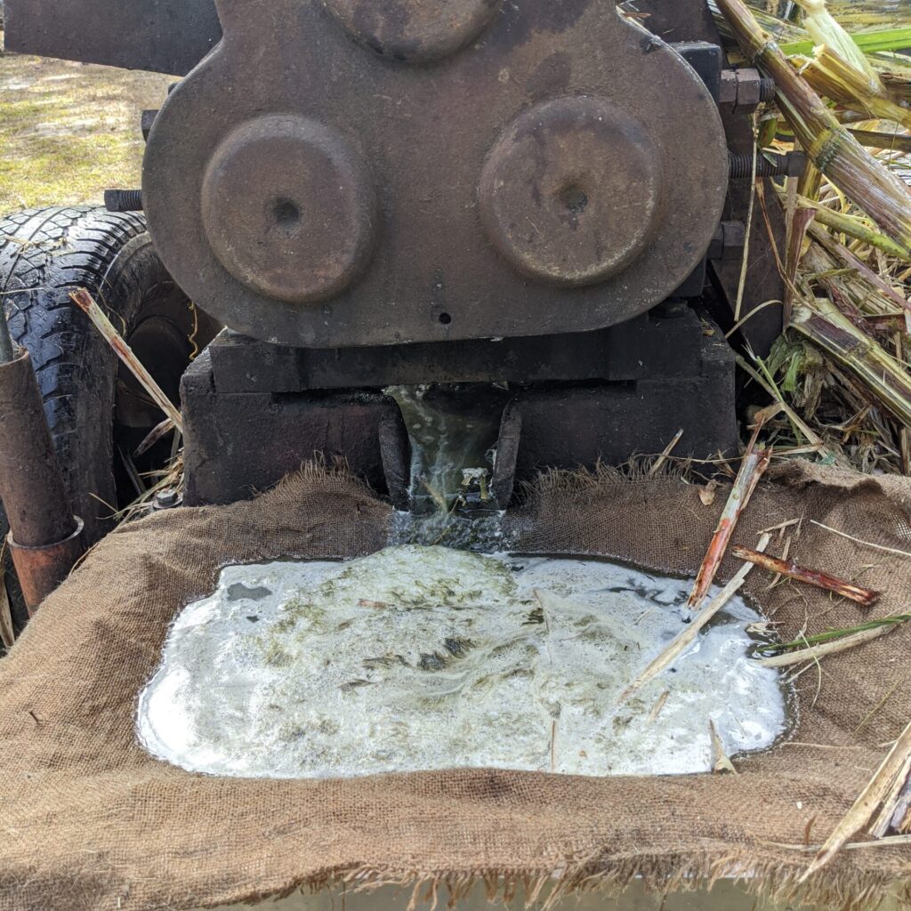 The sugar cane mash is strained before being boiled.